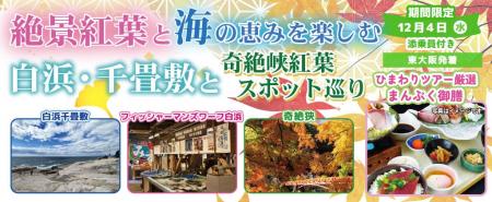 催行確定！！更に増席10席〈東大阪 発着〉12月4日(水)