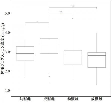 体毛に含まれるホルモンからツキノワグマの繁殖utf-8