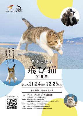 「五十嵐健太　飛び猫写真展　同時開催　もふあつめ展