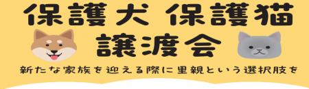 長野・山梨・愛知県の綿半店舗にて譲渡会を開催！