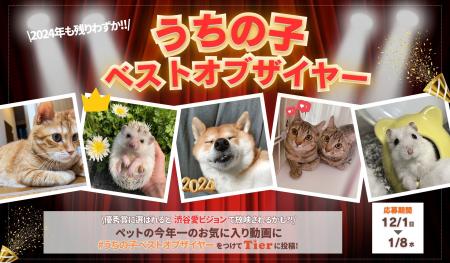 2024年も残りわずか！動物専門SNS『Tier』で「うちの