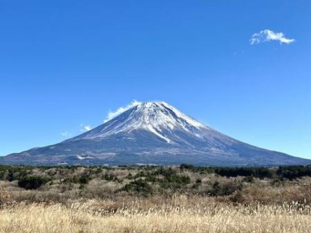 【12/2より】「助成金なう」Web広告掲載のご提案【月