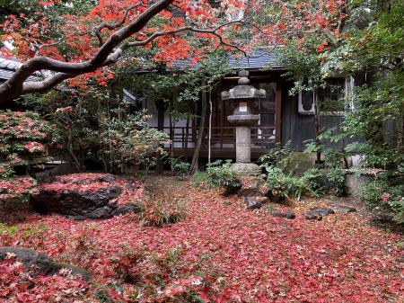 『紅葉の京都で特別なひとときを-舞妓さんと過ごutf-8