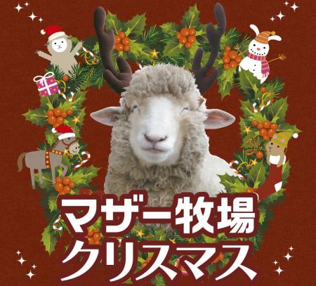 動物たちと癒しのマザー牧場クリスマス！「クリスマス