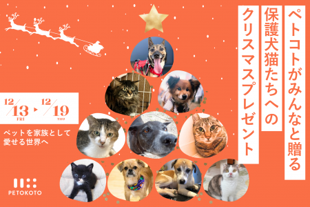 クリスマスにシェア＆フォローで保護犬猫たちへ温かい