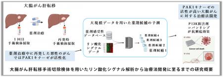 今まで根本的な治療法のなかった悪性度の高い大腸がん