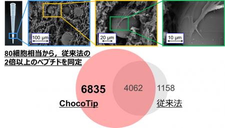 極微量ペプチド用ピペットチップ型カラム「ChocoTip」