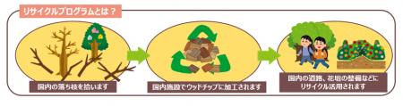 【社会貢献活動】落ち枝拾いで樹木リサイクル！環境活
