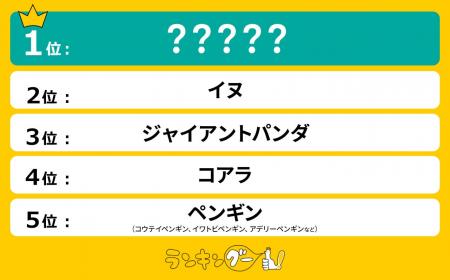 可愛い動物ランキングを調査！1,151票を獲得し1位に選