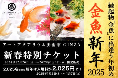 新年のお祝いに、縁起の良い金魚鑑賞を。金魚新年～ア