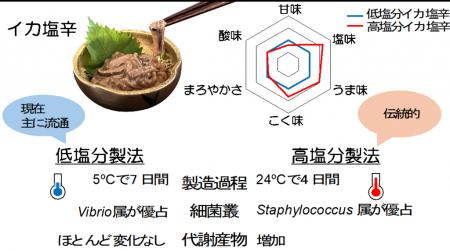 高塩分と低塩分のイカ塩辛の製造過程における代utf-8