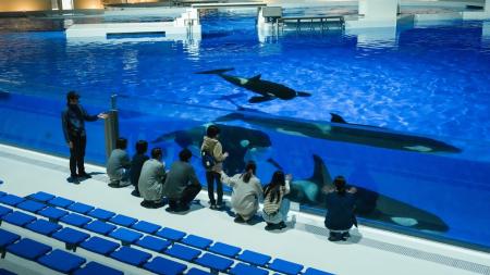 【神戸須磨シーワールドホテル】夜の水族館を探検しな