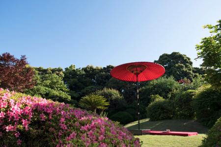 【界 伊東】伊豆の春の花が咲く日本庭園で、ゆったり