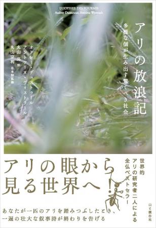 アリの視点で世界を見ることで、社会構造や自然との付