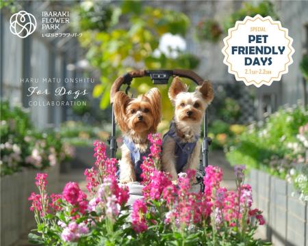 【いばらきフラワーパーク】愛犬と楽しむペットフレン