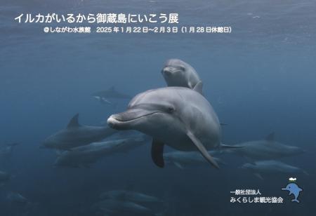 しながわ水族館「イルカがいるから御蔵島にいこutf-8