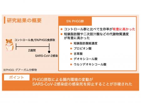 【３者共同研究成果】グアーガム分解物の摂取が新型コ
