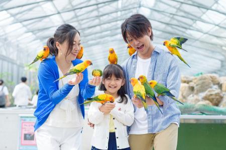 【JAF静岡】掛川花鳥園にJAFイベントブースを出展しま