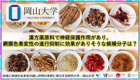 【岡山大学】漢方薬原料で神経保護作用があり、網膜色