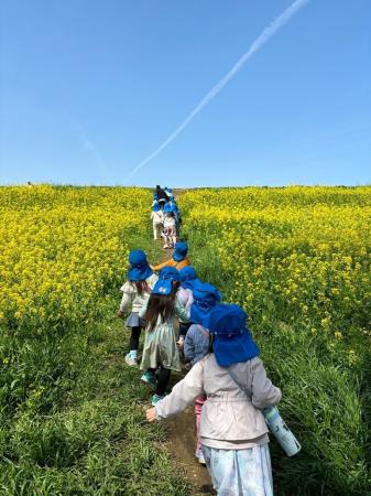 流山市の「森のまち保育園」、保育士の新卒求人utf-8