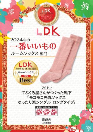 LDKのベストバイ・オブ・イヤー2024にルームソックス