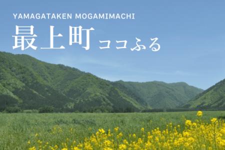 現地でつかえるふるさと納税「ココふる」 | 東北utf-8