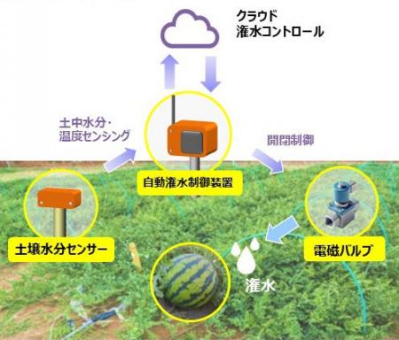 グローバル電子グループのグローバルマイクロ二クスが