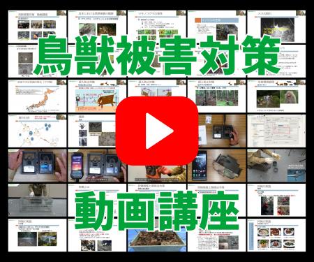 超実践型『鳥獣被害対策 動画講座』がスタート！誰で