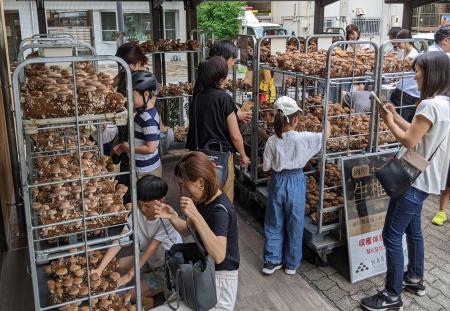 オーガニック給食推進で有機JASキノコ収穫体験催utf-8