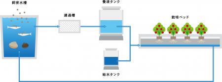 【志摩スペイン村】水と肥料を超節約！ テーマパutf-8