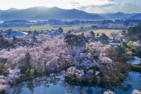 五泉の桜が香る、癒しの空間ミスト『優桜香（ゆうおう