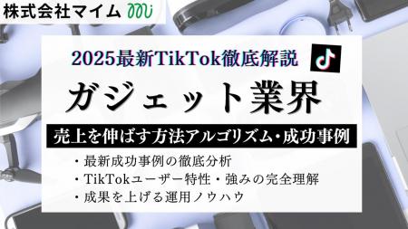 【マーケ担当者必見】「2025年版ガジェット業界向けTi