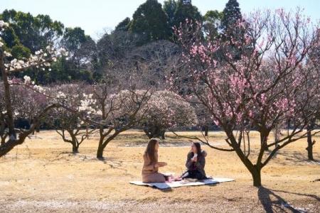 今年は愛犬と一緒に楽しめる！春の彩り豊かな食材を使