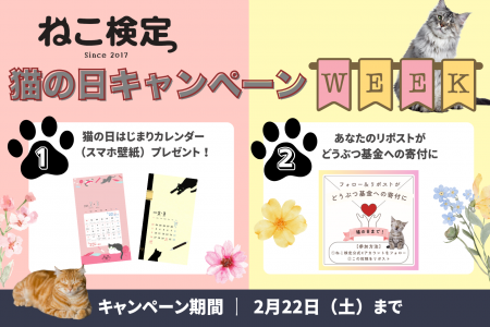 2月22日は猫の日！！『ねこ検定 猫の日キャンペーンウ