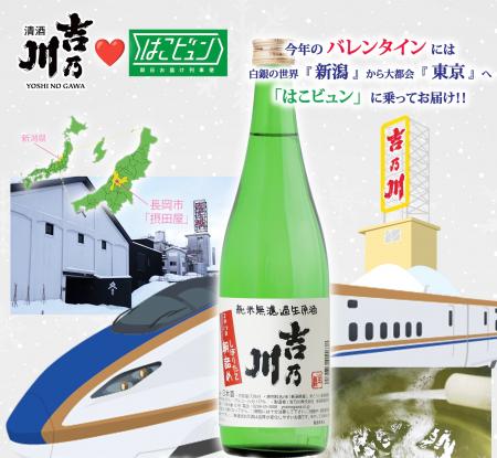 【数量限定販売】当日朝しぼりの日本酒「吉乃川 朝詰