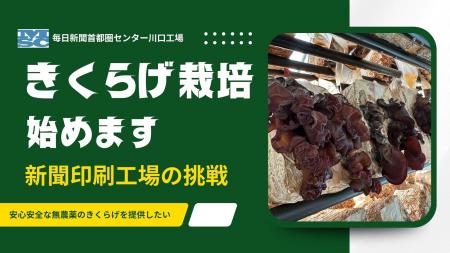 埼玉県川口市の新聞印刷工場がきくらげ栽培に新規参入