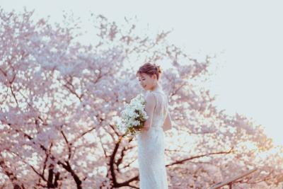 桜と共に人生最高の瞬間を『桜のフォトウェディングプ