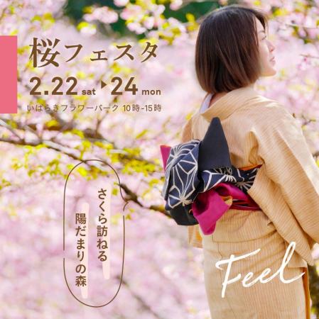 【いばらきフラワーパーク】着物×桜！河津桜から始ま