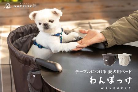 お出かけ先でもご自宅でも、愛犬と同じ目線で過ごす幸