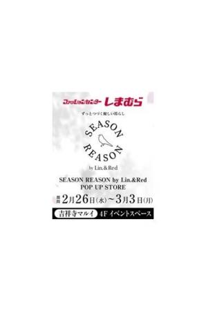 期間限定！「ファッションセンターしまむら」が人気雑