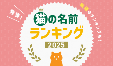 2025年最新版！「猫の名前＆猫種ランキング」