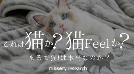 猫の手触りと毛色を再現したオリジナル寝具『猫フィー