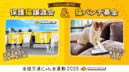 【2月22日は猫の日】イエローハットが猫を交通事故か