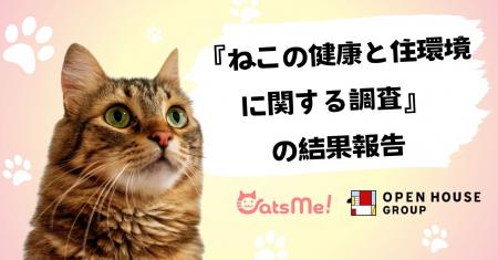 猫の痛み検知AI「CatsMe」で実施「ねこの健康と住環境