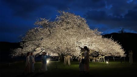 芦ノ湖畔の一本桜BAR