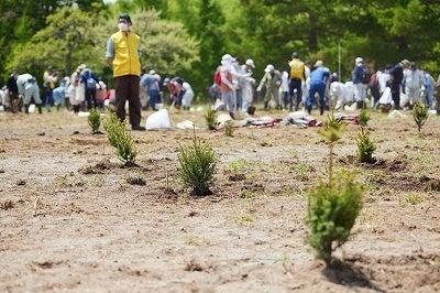 北海道・木育（もくいく）フェスタ２０２５第75回北海