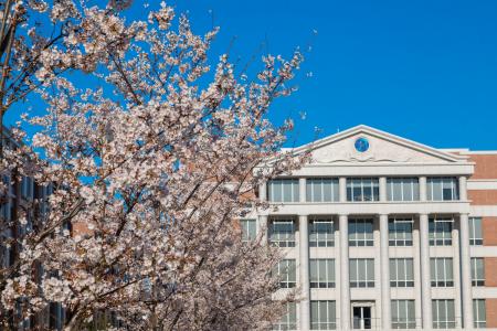 2月23(日)、3月29日(土) 杏林大学総合政策学部オープ