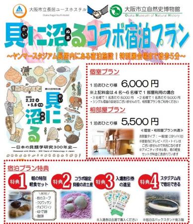 大阪市立自然史博物館　第55回特別展「貝に沼る -日本