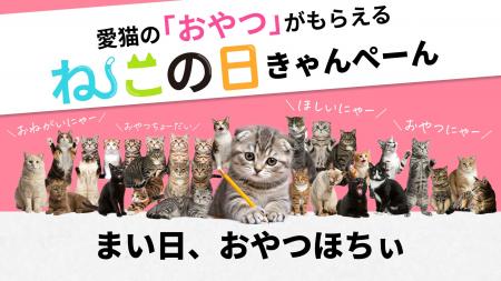 【にゃっちで猫の日】おやつほしいにゃー！半端にゃい