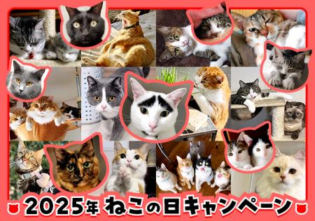 「ペットゴー（petgo.jp）」2025年ねこの日キャンペー